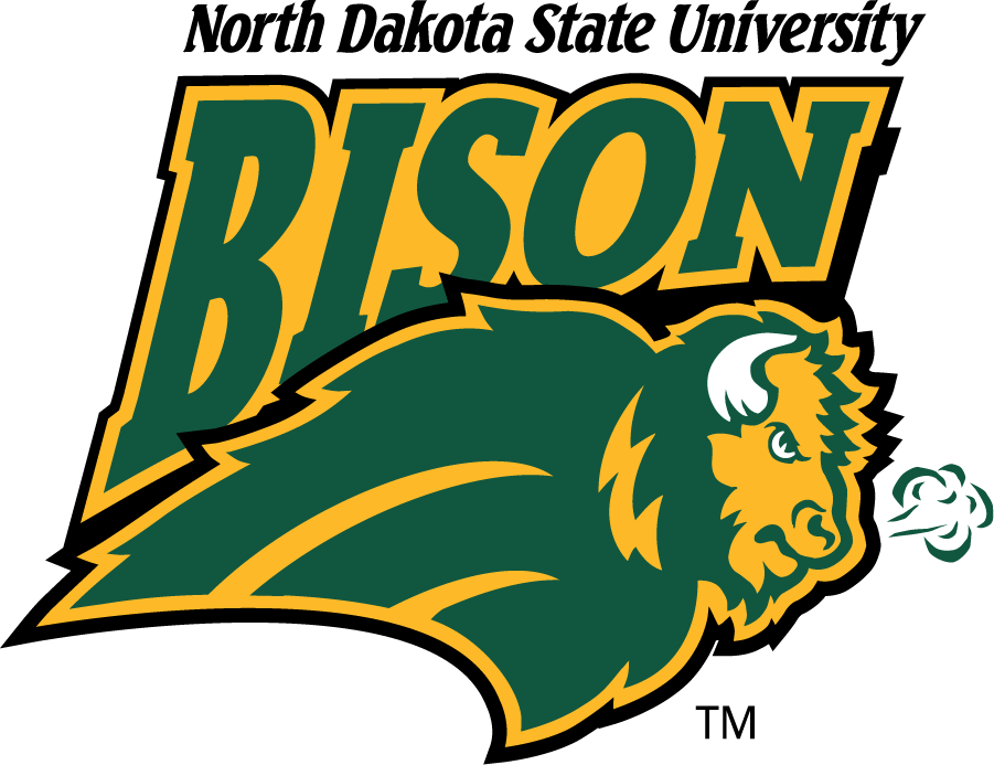North Dakota State Bison 1999-2012 Alternate Logo iron on transfers for clothing